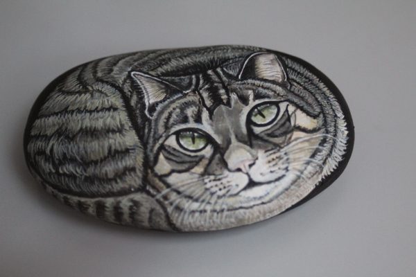 Piedra Retrato Gato Gris 🐱