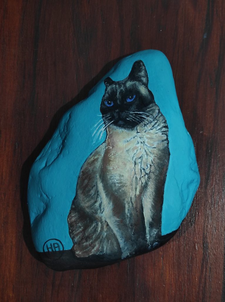 Piedra Pintada - Gato personalizado